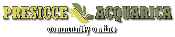 Presicce-Acquarica - Community Online